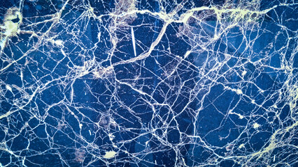 A striking network of white veins traverses a deep blue marble surface, creating a captivating...