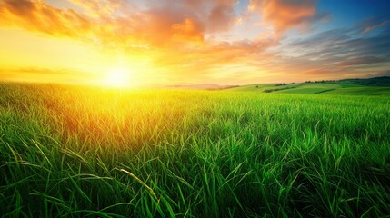 Fototapeta premium Vibrant green, grassy fields at sunrise, a colorful sky, the Tuscan landscape, hills in the background, photorealistic, natural lighting, high-resolution photography, sharp focus