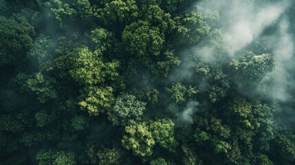 Obraz premium World map made of lush green forest, aerial view with misty clouds above, top-down perspective