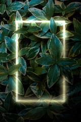 Neon glowing golden frame on green leaves background. Floral concept template. Creative stock layout. Warm, ambient light mood. Copy space for party invitation, poster, banner, sale advertising. 