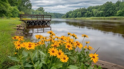Serene river scene with wooden dock and yellow wildflowers in bloom.