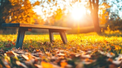 Obraz premium Wooden bench in autumn park at sunset.