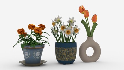pots and vase with flowers with white background