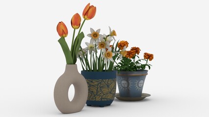 pots and vase with flowers with white background