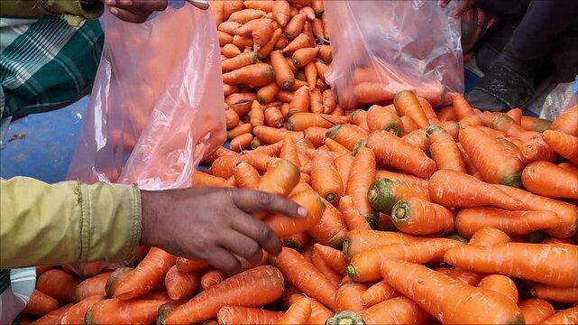 Bulk amount of carrots have been taken to the market for sale.
