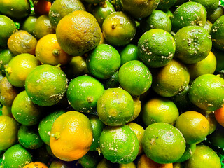 Fresh Calamansi Limes or Jeruk Sambal or Jeruk Limau, Close-Up