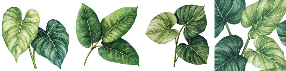 Obraz premium Vibrant Tropical Foliage Backdrop with Lush Green Leaves and Plant Patterns Exotic and Botanical Nature Background Featuring Monstera Philodendron and Palm Leaves in a Verdant Jungle Inspired Design