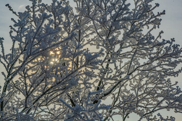 Ein sonniger Neujahrstag auf dem Bogenberg