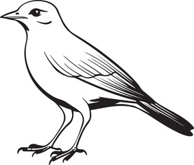 silhouette birds vector illustration  2025