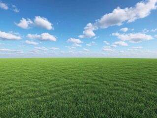 Fototapeta premium A wide grassy field with a blue sky and white clouds in the background, green grass on the ground, and an empty space for text or graphic design at one end of the frame. The entire scene is captured