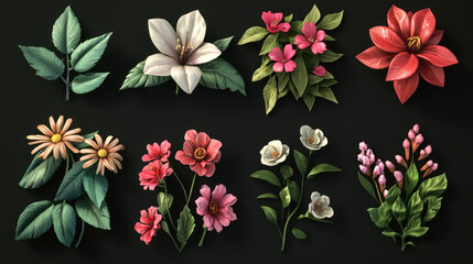 multiple flower and leaves assets for illustration on black background easy to edit