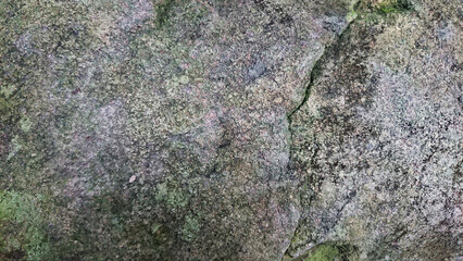 Close-up of textured stone surface