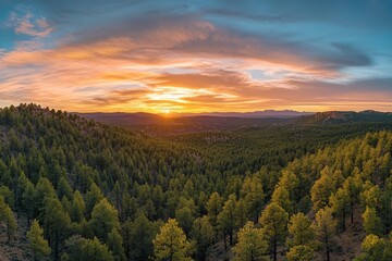 Obraz premium Aerial view of a dense tropical rainforest in the morning with fog and clouds on the mountain top, on a sunny day. Aerial photograph from a drone. High-resolution photography.