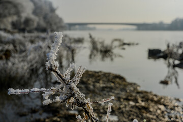 Ein frostiger Neujahrstag an der niederbayerischen Donau