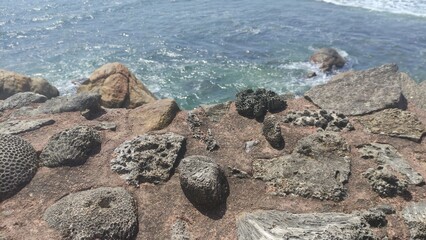 Galle fort historic stone hedge