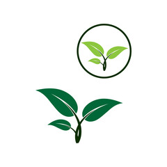 green leaf icon
