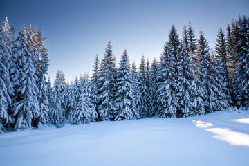 Landscape Jakuszyce, Lower Silesian Voivodeship