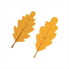 Obraz premium A autumn leaf Flat Vector on white background. illustration Design 