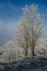 Ein frostiger Neujahrstag an der niederbayerischen Donau
