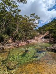 river in the woods