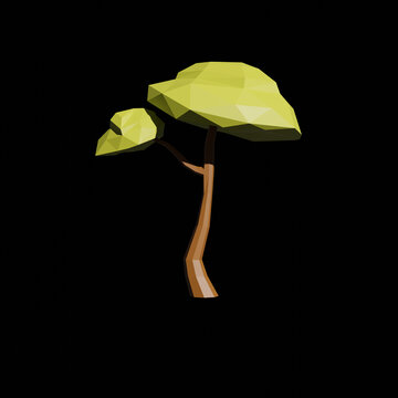  3d lowpoly acacia tree with transparent background