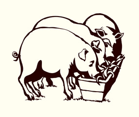 Vector drawing. Pigs eating rhe food
