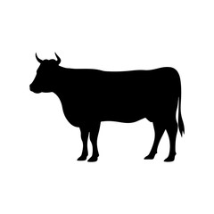 Steer cattle silhouette vector illustration design on white background.