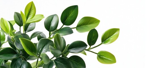 Lifelike green plastic plant for modern interior design perfect for enhancing decor and adding a touch of nature to any space
