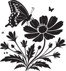 black and white flowers