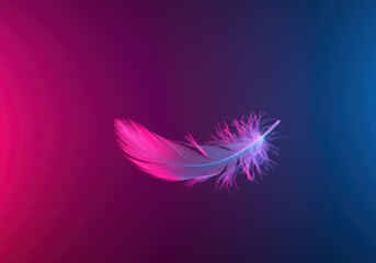Obraz premium Bright pink feathers on a reflective surface illuminated by vibrant blue and pink lights