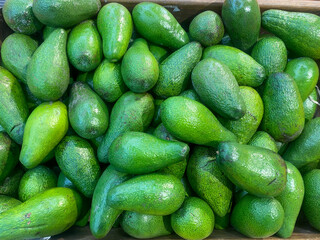 Avocados in a crate for sale