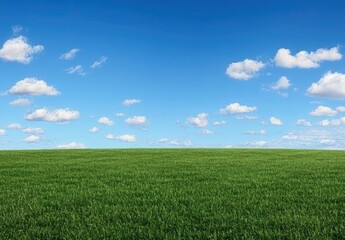 Fototapeta premium Beautiful blue sky with white clouds over a green grass field background. professional, high-resolution image that is beautiful, clean, simple, stunning, relaxing, calming, and peaceful. 