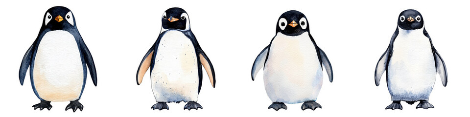 Cute Penguins Floating in Icy Arctic Waters with Penguins Colony