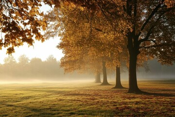 Serene autumn landscape with trees and morning mist.