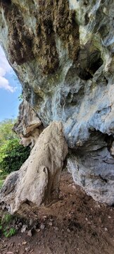 Naturaleza: singularidad en la roca