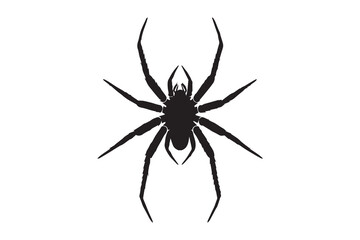 Spider vector and silhouette
