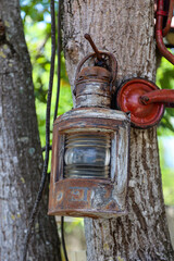 Eine alte Schiffslampe an einem Baum.