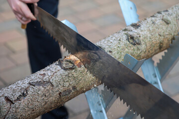 Ein Ritual bei einer Hochzeit, ein Stück Holz zusammen mit der Säge trennen.