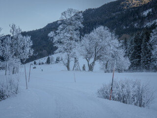 Fototapeta premium A Peaceful Winter Morning In Bavaria, Germany, Featuring Frost-Covered Trees In A Snowy Landscape With A Forested Mountain Illuminated By Gentle Sunlight In The Background
