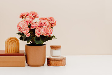 Spring and summer home still life background with copy space for product presentation or design. Home plant blooming with pink flowers, wooden storage box, cozy home interior decoration