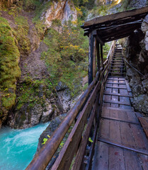 Fototapeta premium Dramatic Alpine Gorge: Hiking the Wolfsklamm