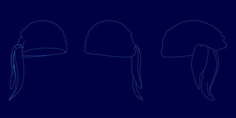 Three different hats are shown in a blue background. The hats are all different styles and colors, but they all have a similar design. The hats are arranged in a row, with the first hat on the left
