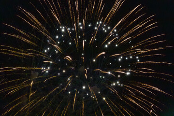 Obraz premium A dazzling display of golden fireworks bursts with star-like patterns, accompanied by soft blue specks of light against a dark sky. A magical and festive scene.