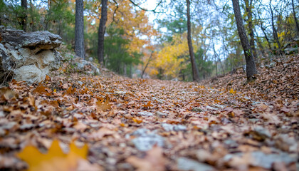 Digital Art of a Misty Autumn Forest Path

