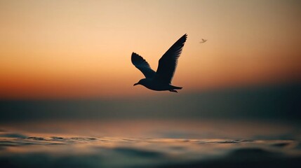 Silhouette of a seagull in flight at sunset over calm ocean.