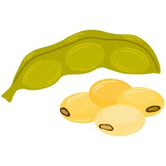 Raw soy, soybeans pods isolated vector set. Green fresh bean husk with seeds and leaves, soya natural vegetable plant. Vector healthy food cartoon illustration soybeans On white background.