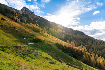 Fototapeta premium Autumn Forest in the Rofan Mountains, Tyrol, Austria, with Golden Larch Trees and Rocky Peaks