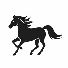 horse isolated on white