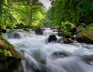 Obraz premium a rushing river cascading over rocks in a lush green forest