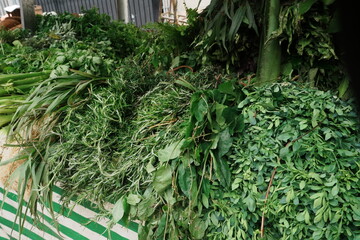 Feira Livre or Brazilian Street Market in Sao Paulo, Brazil - ブラジル サンパウロ 青空市場 朝市